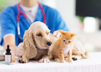 Detrazione spese veterinarie