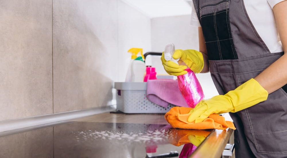 Lavoratori domestici