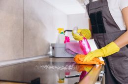 Lavoratori domestici