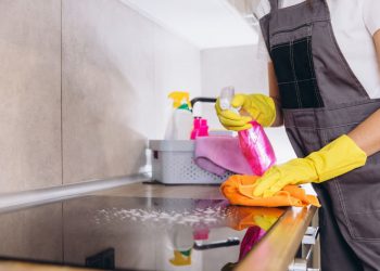 Lavoratori domestici