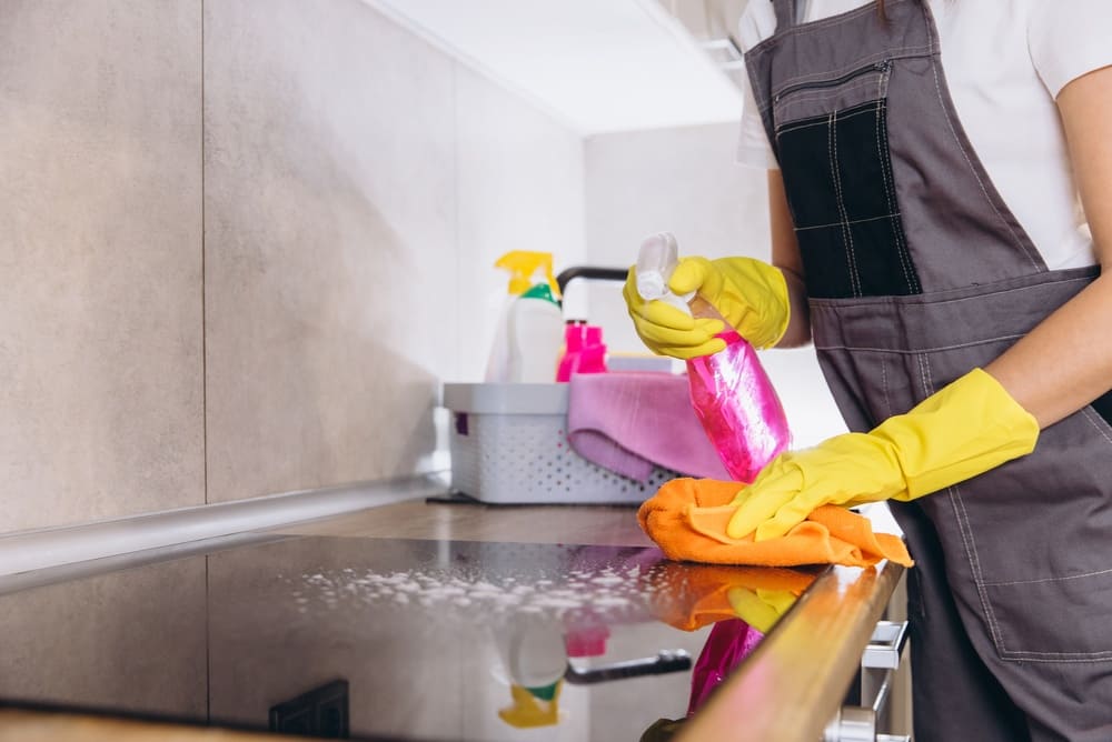 Lavoratori domestici
